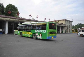新西蘭智閣板材強(qiáng)勢(shì)登陸湖南營銷中心各路公交車